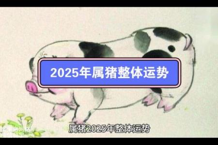 属猪人2025年运势及运程_属猪人2025年运势及运程的风水解释