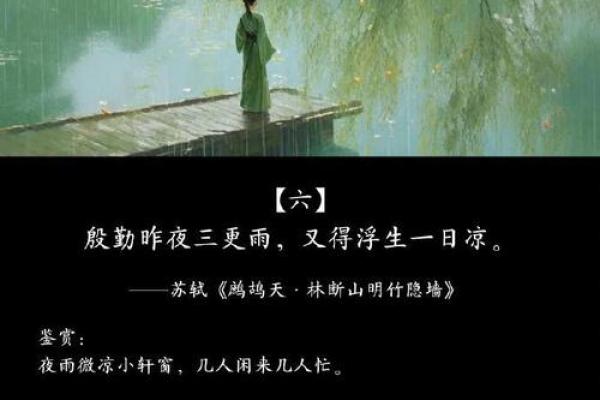 寒风细雨打一生肖 寒风细雨打一生肖