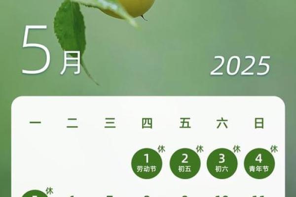 2025年农历五月 2025年农历五月