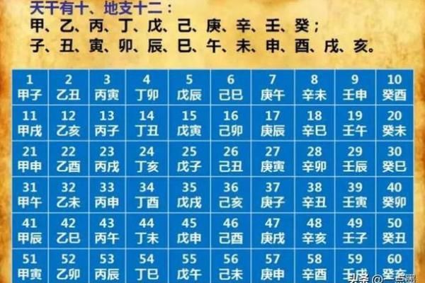 十年寒窗是指什么生肖 十年寒窗是指什么生肖