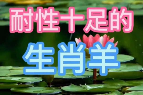 寻花问柳指什么生肖 寻花问柳指什么生肖