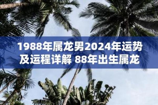 1988年属龙人2024年运势_1988年属龙人2025年财运如何 1988年属龙人2024年运势_1988年属龙人2025年财运如何