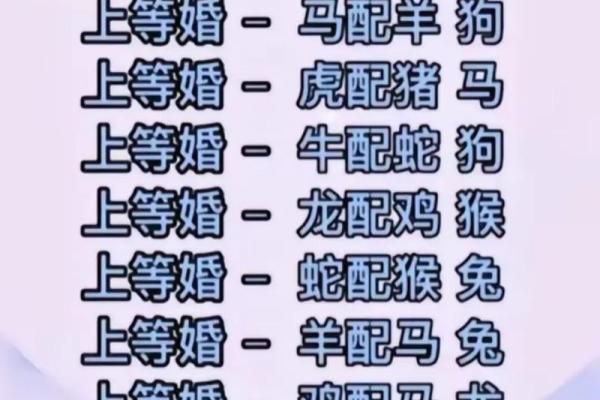 掩耳盗铃开过什么生肖 掩耳盗铃开过什么生肖