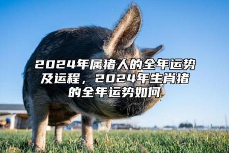 2025年属猪财运与运势解析机遇与挑战并存