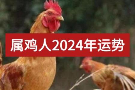 2024属鸡要小心一个人_2024年属鸡需警惕小心身边这个人