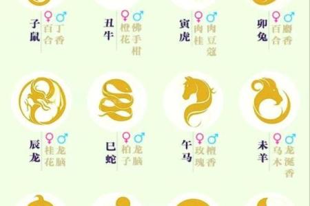 十二生肖属鸡的年份表_十二生肖属鸡年份表完整年份查询与运势解析