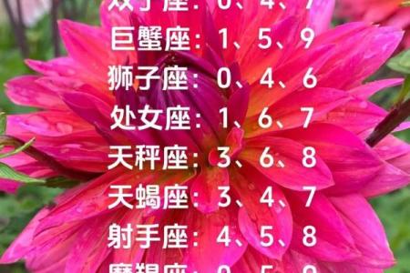 白羊座女今天的运势