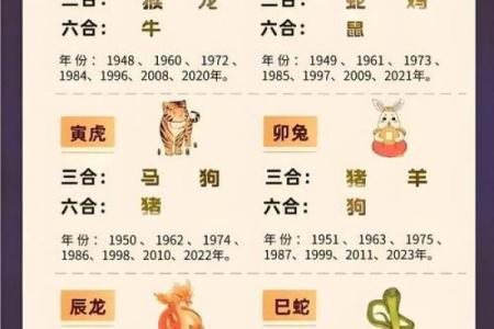 属龙2025运势及运程 2025年属龙人全年运势详解事业财运健康运程指南