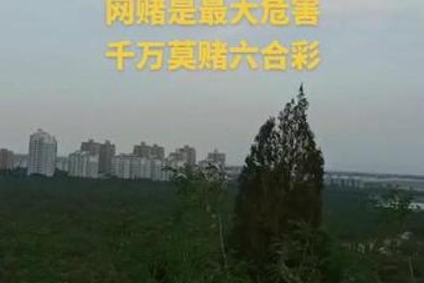 心急如焚打一个生肖 心急如焚打一个生肖