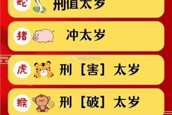 2025正月初几订婚最好属猪的 2025正月初几订婚最好属猪的