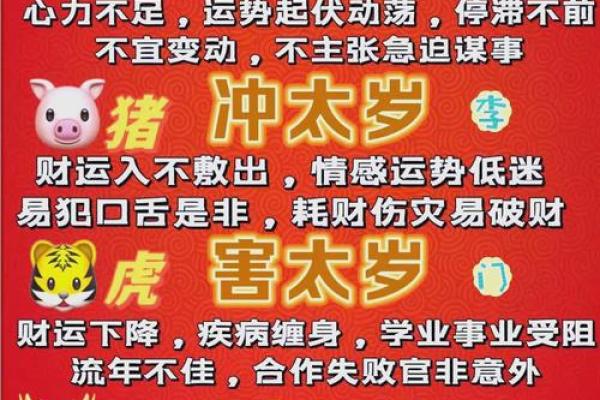 75年男兔2025年运势完整版_2025年1983猪男全年运势如何 75年男兔2025年运势完整版_2025年1983猪男全年运势如何
