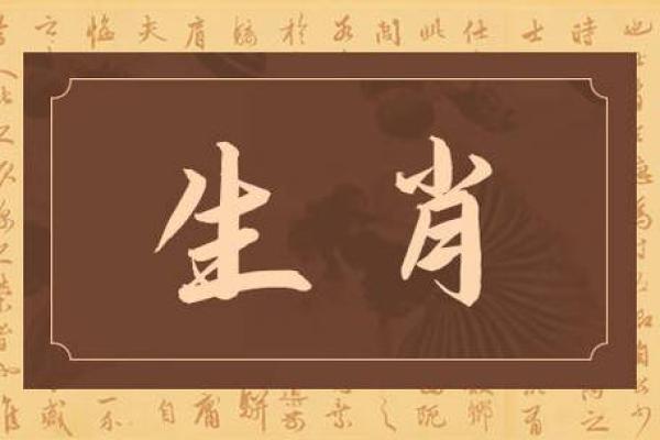 94狗2025年运势_94属狗2023到2024运势 94狗2025年运势_94属狗2023到2024运势
