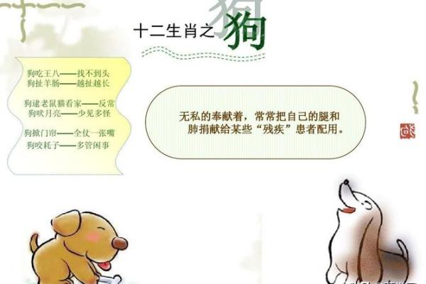 嘴多舌长是什么生肖(嘴多舌长是什么动物) 嘴多舌长是什么生肖(嘴多舌长是什么动物)