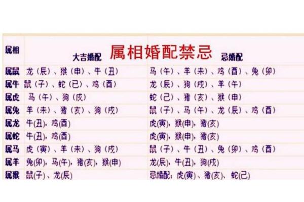 94属狗的属相婚配表 94年属狗最佳婚配表属相配对指南 94属狗的属相婚配表 94年属狗最佳婚配表属相配对指南