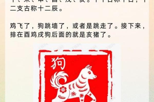 2006年属鸡还是狗生肖年份解析与运势预测 2006年属鸡还是狗生肖年份解析与运势预测