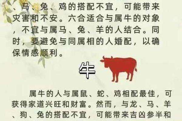 属狗的最佳配偶属相 属狗的最佳配偶属相揭秘12生肖中的完美配对 属狗的最佳配偶属相 属狗的最佳配偶属相揭秘12生肖中的完美配对