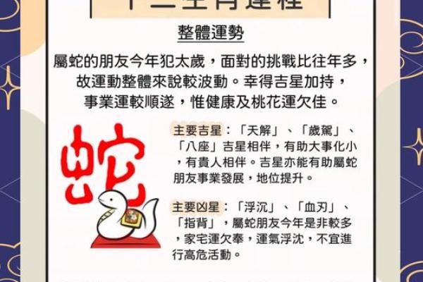 鼠运势2025运势详解 鼠运势2025运势详解