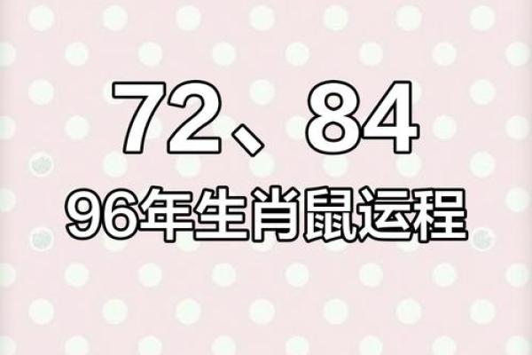 1972年属鼠2025年运势及运程女性 1972年属鼠2025年运势及运程女性