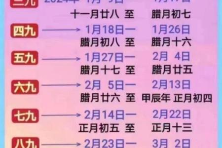 2022年数九时间表