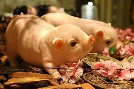 属猪命中注定的情人 属猪的正缘桃花是谁