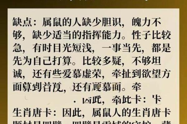 1984年属鼠2025年运势及运程详解 1984年属鼠2025年运势及运程详解