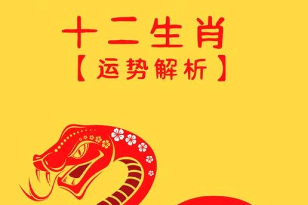 1984年属鼠2025年的运势和婚姻 1984年属鼠2025年的运势和婚姻