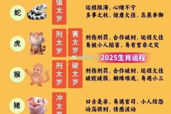鼠和猪2025年几月适合结婚(鼠和猪2025年几月适合结婚生子) 鼠和猪2025年几月适合结婚(鼠和猪2025年几月适合结婚生子)
