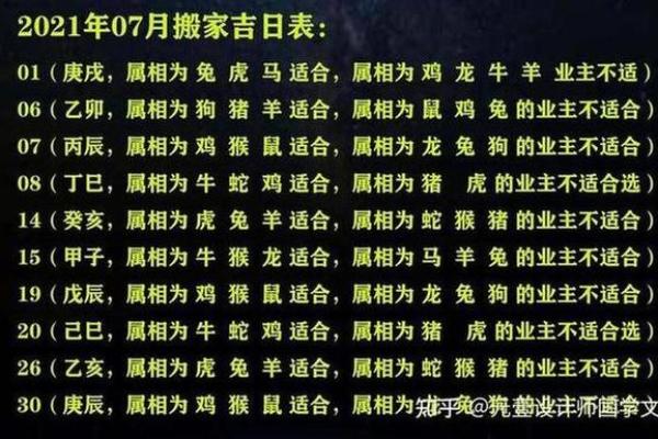1996年老鼠2025年运势 1996年老鼠2025年运势