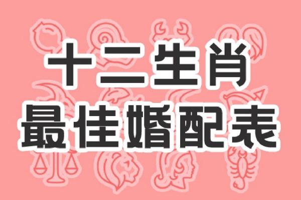 男的属虎女的属龙合适吗_男的属虎女的属龙婚姻合不合 男的属虎女的属龙合适吗_男的属虎女的属龙婚姻合不合