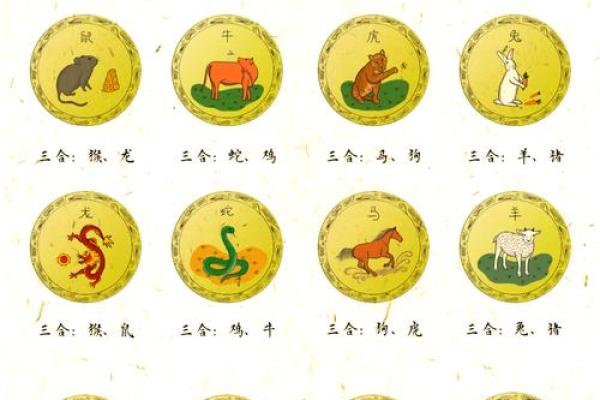 惊天动地是什么生肖 惊天动地是什么生肖