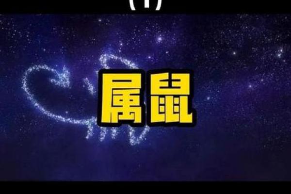 1972年属鼠今年运势 1972年属鼠今年运势