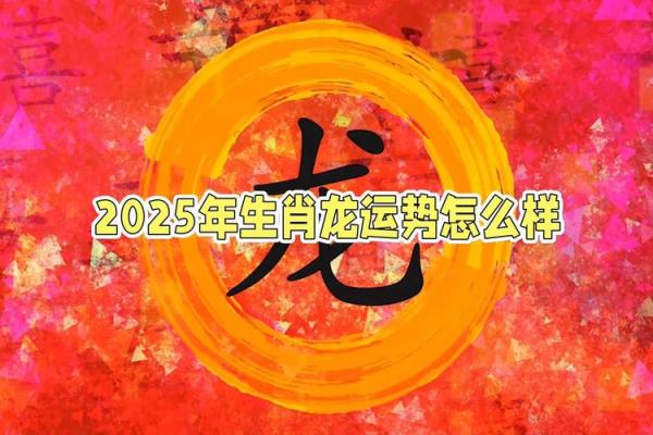 2025年属龙的运势和财运怎么样_2025年属龙人全年运势与财运解析逐月运程详解 2025年属龙的运势和财运怎么样_2025年属龙人全年运势与财运解析逐月运程详解