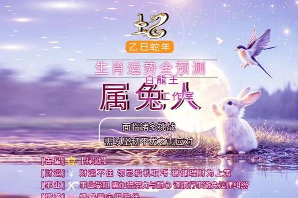 2025年属兔女全年运势 2025年属兔女全年运势详解财运爱情事业全面解析 2025年属兔女全年运势 2025年属兔女全年运势详解财运爱情事业全面解析