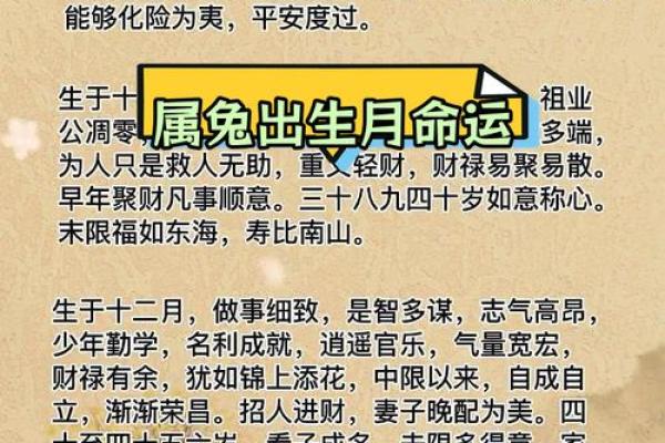 11年属兔的今年多大 2023年属兔人年龄揭秘11年出生的你今年多大 11年属兔的今年多大 2023年属兔人年龄揭秘11年出生的你今年多大