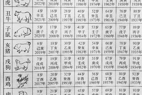11年属兔的今年多大 2023年属兔人年龄揭秘11年出生的你今年多大 11年属兔的今年多大 2023年属兔人年龄揭秘11年出生的你今年多大