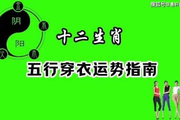 2025年1月30号出生的宝宝属什么(2025年1月30日出生的宝宝属什么生肖) 2025年1月30号出生的宝宝属什么(2025年1月30日出生的宝宝属什么生肖)