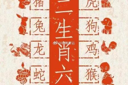 属牛和属鸡的财运合不合揭秘最佳配对与财富运势