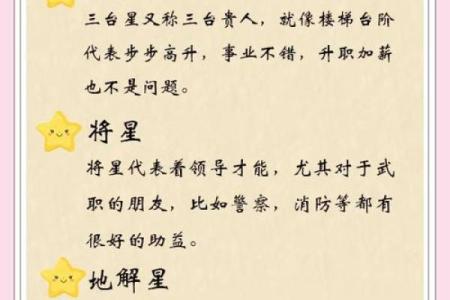 1981属鸡人2025年运势详解全年运程大揭秘