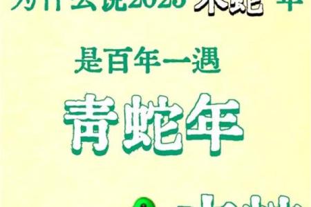 2025什么年蛇还是龙年 2025年属龙还是蛇12月农历生肖交替全解析