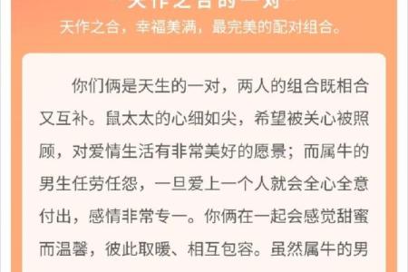 95猪男和96鼠女最佳婚期2025(95猪男和96鼠女相冲吗)