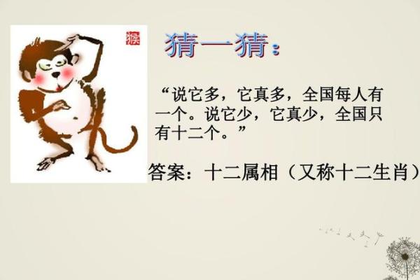 步步为营打一个生肖(步步为营猜生肖) 步步为营打一个生肖(步步为营猜生肖)