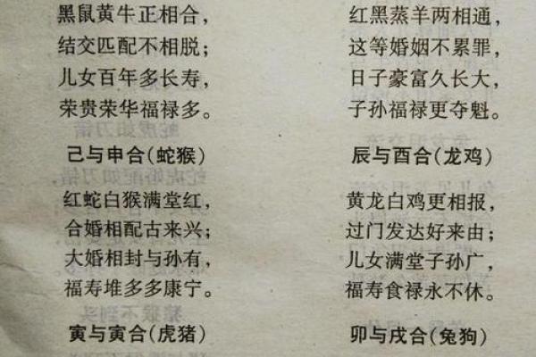 属马的属相婚配表 属马婚配哪个属相最好 属马的属相婚配表 属马婚配哪个属相最好
