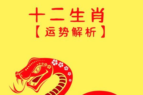生肖龙2025年运势大全 2025年属龙运势及运程1988年生人 生肖龙2025年运势大全 2025年属龙运势及运程1988年生人