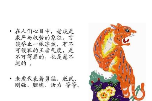 暗无天日打一准确生肖 暗无天日打一准确生肖