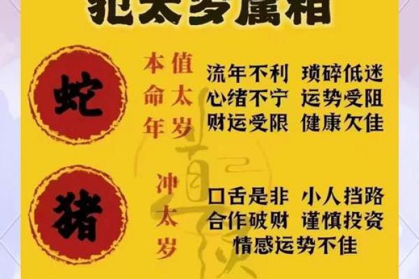 2025属龙财运大揭秘开年首月财富运势全解析 2025属龙财运大揭秘开年首月财富运势全解析