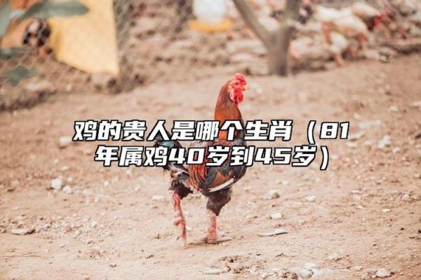 八骏日行三万里是什么生肖(八骏日行三万里是什么生肖六宫一例鸡冠子) 八骏日行三万里是什么生肖(八骏日行三万里是什么生肖六宫一例鸡冠子)