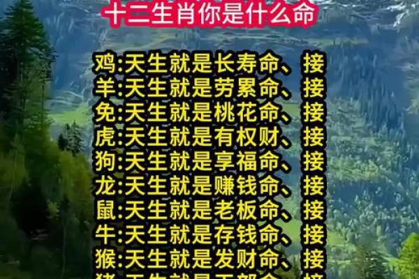 三衰六旺指的是什么生肖(三衰六旺指的是什么生肖动物) 三衰六旺指的是什么生肖(三衰六旺指的是什么生肖动物)
