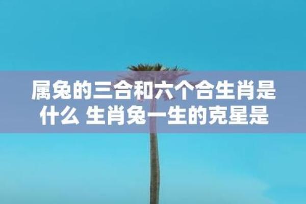 1975年的兔是什么命五行属性 1975年兔子是属什么命 1975年的兔是什么命五行属性 1975年兔子是属什么命