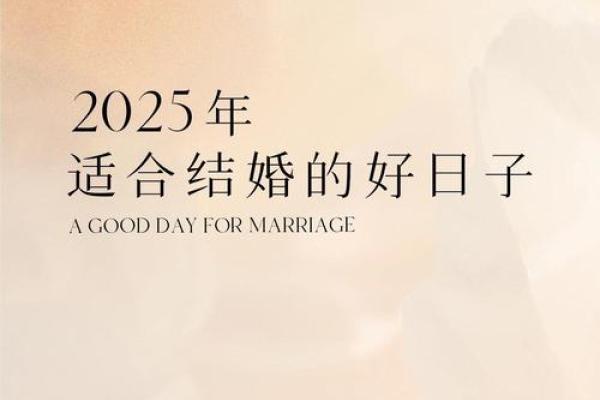 2025年适合领证的日子有哪些 2025年适合领证的日子有哪些
