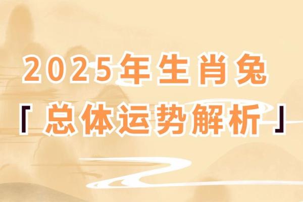 2023年兔五行属什么 2023年兔五行属什么命 2023年兔五行属什么 2023年兔五行属什么命